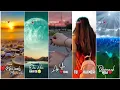 Download Lagu Bepanah Ishq 💔Yasser Desai💛 Payal Dev❤️Aesthetic Status❤️ Lofi [Slowed]💔 Trending Full Screen Status