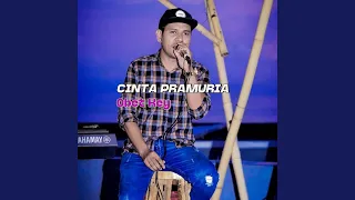 cinta pramuria