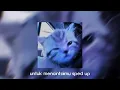 Download Lagu Seveenten - Untuk mencintaimu(speed up version)