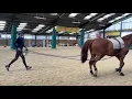 Lagu Long Reining \u0026 Lunging With 2 Reins - Starter Guide !