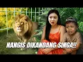 Download Lagu VILMEI DAN RAMA NANGIS DI KEBON BINATANG !! RAMA TAKUT SINGA ?!