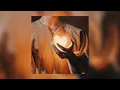 MamaRika & YAKTAK – Лелека (speed up)