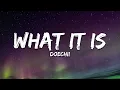 Download Lagu Doechii - What It Is (Solo Version) [Lyrics]