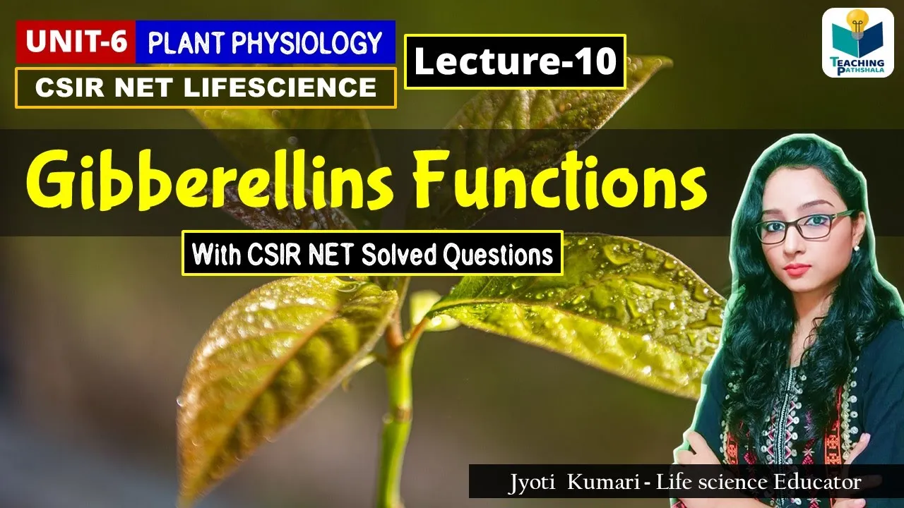 GIBBERELLIN FUNCTIONS ||PHYTOHORMONES (PART-10) |CSIR NET|PLANT BIOLOGY
