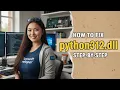 Missing Python312 dll Don t Panic