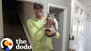 Hungry Cat Spends Four Days Stuck In A Tree | The Dodo