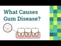 Gum Disease Treatment in Las Vegas Summerlin at Wagner Dental