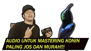 audio buat mastering konin paling kece blitz mastering review 