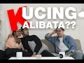 Download Lagu MISTER INDONESIA HANGOUT BARENG KUCING KALIBATA???!!! || Hangout Weekend