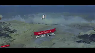 قالك تعيش هتشوف الندل والخاينين مع الكلمات دندنها