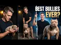 From Puppies to Champions Inside Our Bully Breeding Operation