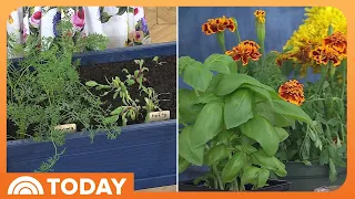 How to Transition Your Garden for a Bountiful Fall