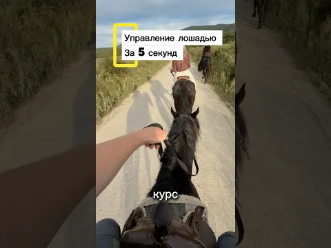 Скоро бензина не будет вот вариант альтернативный