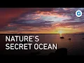 The Untold Wonders of the Baltic Sea - Nature Like You ve Never Seen Extra Long Documentary