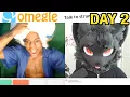 hunting for furries on omegle WE GO AGAIN DAY 2