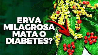10 ERVAS MEDICINAIS QUE DERRUBAM O DIABETES [NATURALMENTE RÁPIDO]