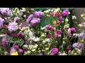 Download Lagu Mohamed Nour - Hayaty (slowed + reverb)