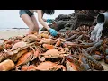 Download Lagu Against All Odds, Xiao Zhang Found A Crab And Lobster Just As He Arrived At The Beach.
