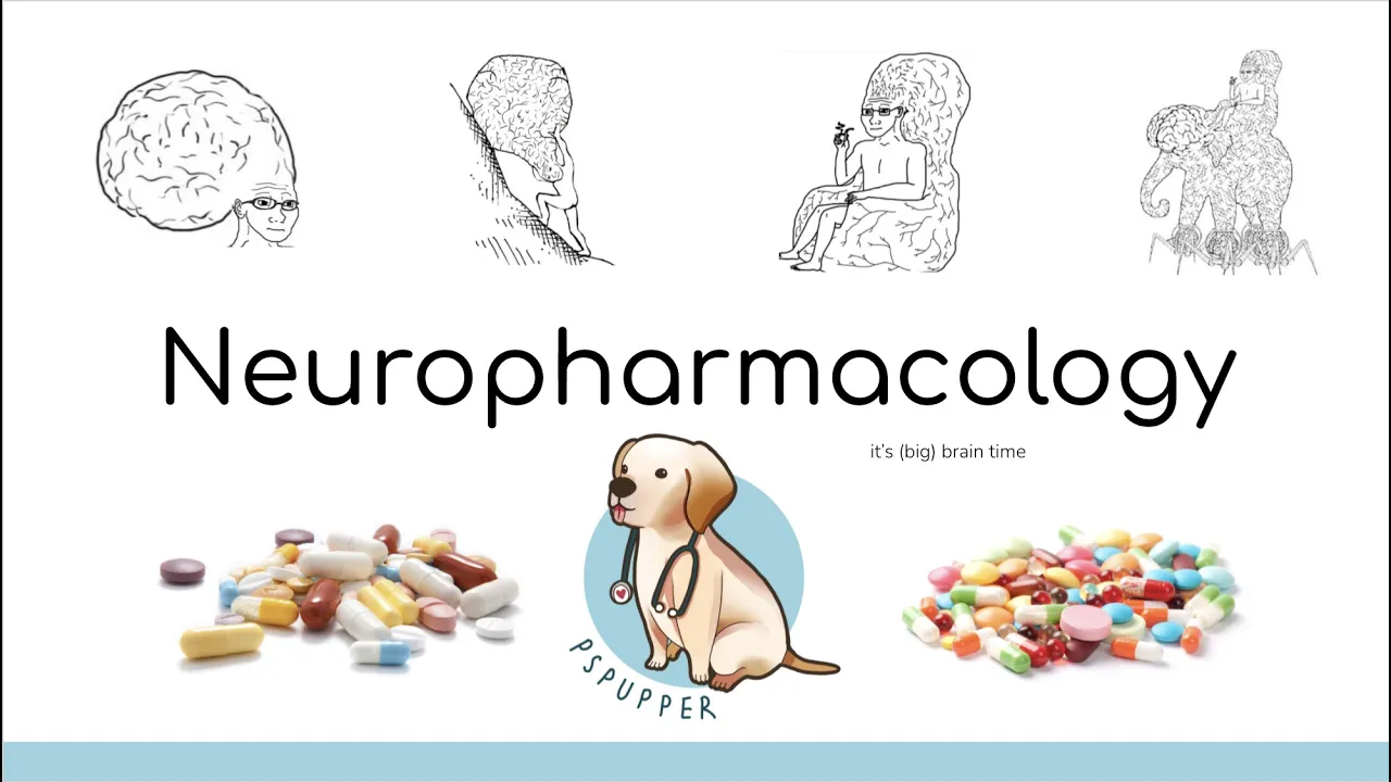 Neuro 1: Neuropharmacology simplified! (by a lot...)