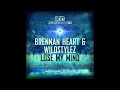 Download Lagu Brennan Heart \u0026 Wildstylez - Lose My Mind ( Sub Zero Project Remix )