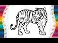 Tiger Coloring Page Drawning Coloring and Painting for Kids Toddlers - 4K 60FPS