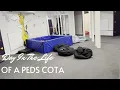 A day in the life of a pediatric COTA