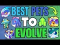 The BEST Pets to Evolve in Prodigy Prodigy Math Game