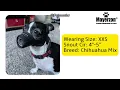 Mayerzon Dog Muzzle Review Comfortable Breathable and Practical for All Dog Sizes