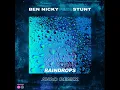 Raindrops (Avao Remix)