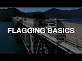 2 Flagging Basics