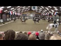 Download Lagu NK Carrousel 2017 - Proef Hillegersberg B Team