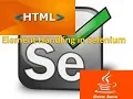 Selenium 29 Handling Elements in Selenium Part-4