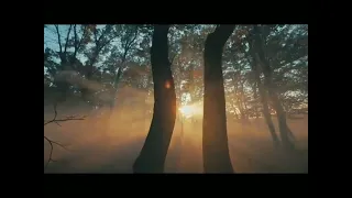 نور السلام مهيمنا إنشاد عبد الله المهداوى رحمه الله 