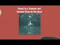 Picked Up A Hammer And Knocked Them In The Head - Don Stover And The White Oak Mountain Boys