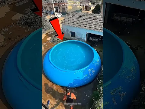 Pria Ini Bikin Kolam Heboh! 😱#Catsoftiktok #CatLovers #cat#cute #FunnyCats #catcartoon #fyp