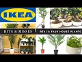 Best Fake Plants At Ikea Ultimate Ikea Plant Shopping Guide Ikea Indoor Plants