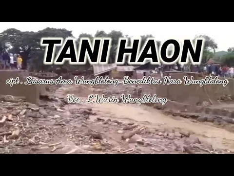 Download MP3 TANI HAON - L.WURIN WUNGBLOLON ||Video Lirik