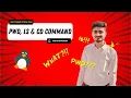 PWD LS CD Commands