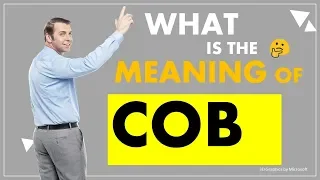 COB - what is the meaning of Internet Slang