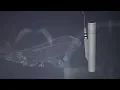 Download Lagu The fuel tank ultimate safe connectivity sensing \u0026 system management Lisafe™
