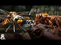 Dragonfly vs Wasp - Who Is The King Of The Insects