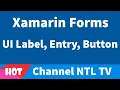 Xamarin Forms UI Label Entry Button