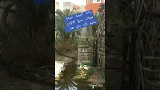 بنات الميمة عيشة 