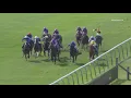 Download Lagu Kameko: 2020 QIPCO 2000 Guineas