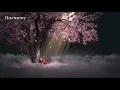 Download Lagu Relaxing music for sleep, meditation and study I SAINT SEIYA I Ambient, Voice
