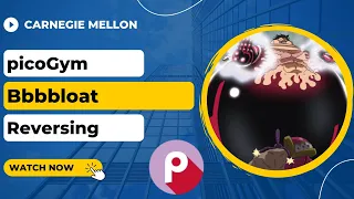 picoGym picoCTF Exercise Bbbbloat