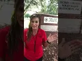 Horry County SC Landfill Tour Information