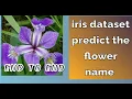 Project 2 Machine learning beginner full project with code and dataset iris flower classification