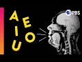 Download Lagu Why Y Is a Vowel According to Physics (and so is W)