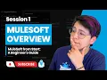 Session 1 MuleSoft Overview MuleSoft from Start A Beginner s Guide